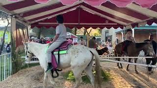 At Cloverdale Citrus Fair 2023 , Pony ride