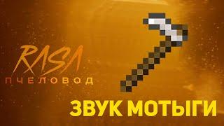 ПЧЕЛОВОД (RASA) ИЗ ЗВУКА МОТЫГИ | MINECRAFT МУЗЫКА | РАСА ПАРОДИЯ