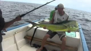 Popper Fishing Ecuador Marlin Dorado Cubera Amber