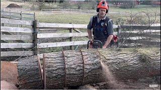 HUSQVARNA'S BEST CHAINSAW MODEL EVER, 372XP, BUCKING BIG TREE.