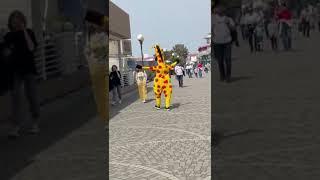 Тверк жирафа на набережной Сочи / giraffe twerking