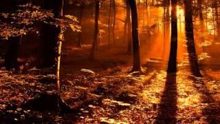 Benjamin Frankel, Symphony No.2 (1/3)