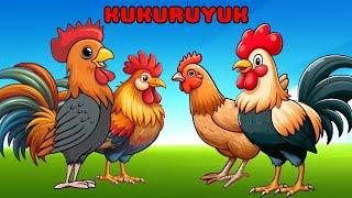 Kuku KUKURUYUK - LAGU AYAM BERKOKOK - Lagu Anak Populer - Nok Gita Channel