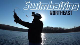 Swimbaiting Northeast (Fall) Part 4 of 4