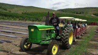 Davison Orchards