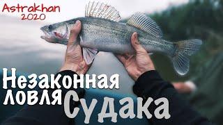 СУПЕР РЫБАЛКА НА СУДАКА! Рыбалка в Астрахани 2020 попали в ГРОЗУ на воде!