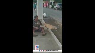 ഒരു അണ്‍കണ്ടീഷണല്‍ ലൗ..! #UnconditionalLove #SocialMedia #DigitalTrends #Viral #ManoramaNews
