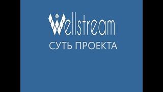 В ЧЕМ СУТЬ ПРОЕКТА WELLSTREAM