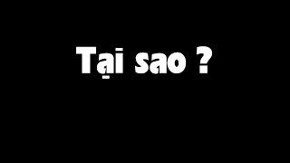 Người Việt đều giỏi, Tại sao có mình Sơn Hải dám bảo hành đường 10 năm?