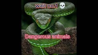 Top 5 most dangerous animals in the world||#shorts #youtubeshort @RareTop5info.