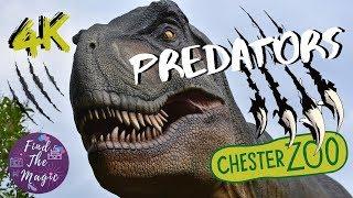 Predators 4K  | Chester Zoo 2019 | Animatronic Dinosaurs Exhibition