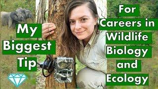 Biggest Tip for Careers in Wildlife Biology and Ecology | Fancy Scientist