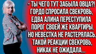 Ты чего тут забыла овца?! Гордо спросила свекровь, едва Алина переступила порог своей же квартиры...