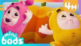 Newt Has Grown an Enormous Pumpkin! | Minibods | Preschool Cartoons for Toddlers