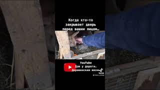 #ферма #деревня #жизньвдеревне #домвдеревне #жизнь #успех #богатство #деньги #животные #мудрость