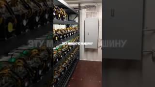 Лучший майнер для среднего бюджета Antminer L7 #crypto #mining #bitcoin