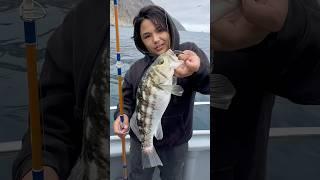 Brisk calico bass fishing at Catalina Island in SoCal on the El Patron at Catalina Island w FA