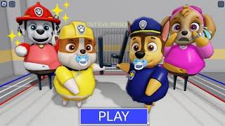 PAW PATROL! BABY RUBBLE vs BABY CHASE! in BARRY’S PRISON RUN! New Cute Obby!
