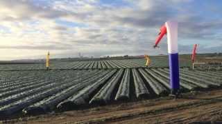 AirRanger® in Berry Field