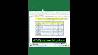 MS EXCEL USING =DGET FORMULA and DATA VALUATION