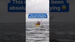 Father watches son get swallowed whole by whale