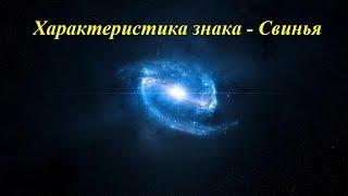 Характеристика знака - Свинья