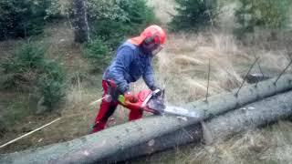 Chainsaw Husqvarna 560 XP - Garden and Forest