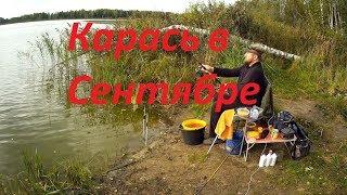 Карась в сентябре.