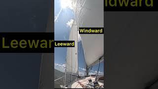 How to read telltales #sailboating #boatlife #sailboat #sailtrim #sailing tips
