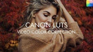 Premium Canon LUTs