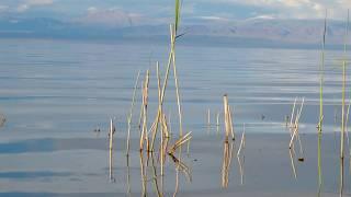 Озеро Ачит-Нур, Монголия / Lake Achit Nur, Mongolia