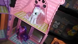 My little pony celebration salon