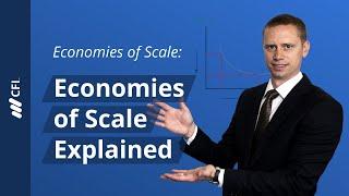 Economies of Scale: Economies of Scale Explained