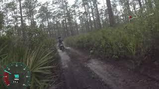 Trail riding in the Osceola National Forest