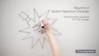 Autism Spectrum Disorder: The Cell Danger Response