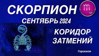 СКОРПИОН ️ СЕНТЯБРЬ 2024. КОРИДОР ЗАТМЕНИЙ. Астрологический  ПРОГНОЗ. Гороскоп.