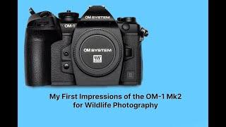 What do I think of the OM-1 Mk2 camera? Is it all hype or is it actually better then the Mk1for AF?