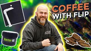 Ep. 45 Essentials For Beginner Shrimp Keepers - Coffee With Flip [Aquarium Podcast]