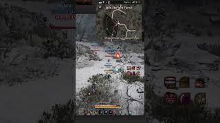 Succession Musa 1v2 in Black Desert AOS?