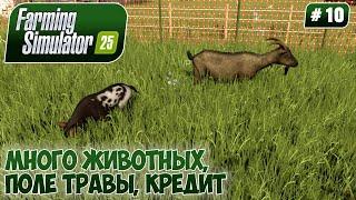 Farming Simulator 25, МНОГО ЖИВОТНЫХ, ПОЛЕ ТРАВЫ, КРЕДИТ, #10