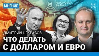 Что делать с долларами и евро? Льготная ипотека — всё. Экономист НЕКРАСОВ о курсе рубля