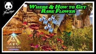 Where And How To Get Rare Flowers In Scorched Earth | ARK: Survival Ascended