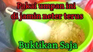 Umpan pelangi amis gurih di jamin bakal neter terus..