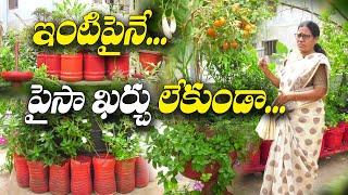 జీరో బడ్జెట్ టెర్రస్ గార్డెన్ | Terrace Garden With Zero Budget | Shiva Parvati