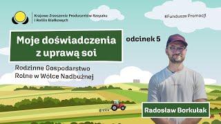 Moje doświadczenia z uprawą soi. Radek Borkułak - uprawa soi od 9 sezonów.