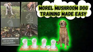 SHOCKING Results from Using These 4 Morel Mushroom Dog Training Exercises for 2 Weeks Straight!