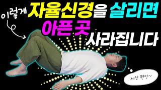 자율신경건강법 | 자율신경이 살아납니다! 쉽고 효과적인 3분 자율신경운동법과 명상법| 글로벌사이버대학교 명상치료학과 이재호교수|힐링가이드 이재호교수