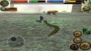 Anaconda Snake Simulator 3D Ultimate Jungle Simulator, By Gluten Free games