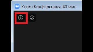 Как организатору после обновления Zoom до версии 5. 0. 2 узнать свой пароль и изменить его