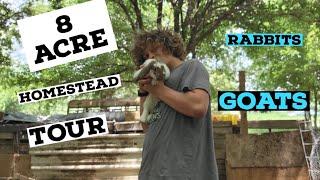 8 acre homestead tour with me ️